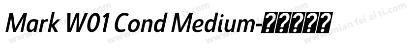 Mark W01 Cond Medium字体转换